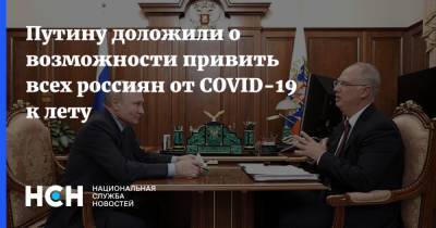 Владимир Путин - Кирилл Дмитриев - Путину доложили о возможности привить всех россиян от COVID-19 к лету - nsn.fm