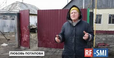 Бабушка Люба из Воронежа кормила коров коноплёй - rf-smi.ru - Воронеж - район Новохоперский
