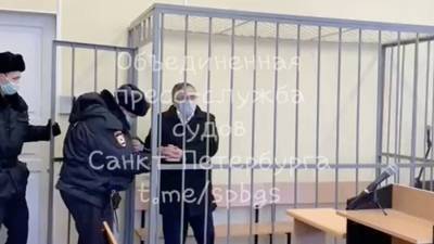 Александр Бастрыкин - Александр Земченков - Суд отправил в СИЗО главного нефролога Петербурга по делу об убийстве супруги - m24.ru - Санкт-Петербург
