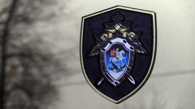 Александр Бастрыкин - Александр Земченков - Главный нефролог Петербурга арестован по делу об убийстве жены 10-летней давности - nation-news.ru - Санкт-Петербург