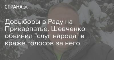 Александр Шевченко - Василий Вирастюк - Довыборы в Раду на Прикарпатье. Шевченко обвинил "слуг народа" в краже голосов за него - strana.ua