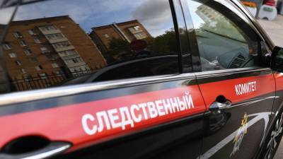 На Кубани сотрудник полиции сбила насмерть ребенка - gazeta.ru - Краснодарский край - район Динский