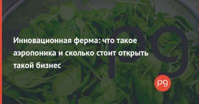 Инновационная ферма: что такое аэропоника и сколько стоит открыть такой бизнес - thepage.ua