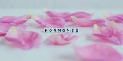Гармония женских гормонов: восемь важных вопросов об эндокринной системе - nv.ua