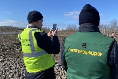 На Волхонском шоссе выросла гора из опасного мусора - spb.mk.ru - Ленинградская обл. - Санкт-Петербург - район Ломоносовский