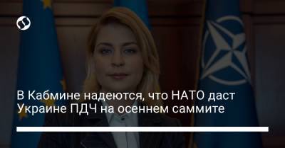 Ольга Стефанишина - В Кабмине надеются, что НАТО даст Украине ПДЧ на осеннем саммите - liga.net - Грузия
