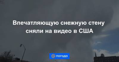 Екатерина Гура - Впечатляющую снежную стену сняли на видео в США - news.mail.ru - шт. Мэриленд