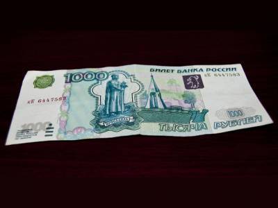 Виктор Мохов - СМИ: «Скопинского маньяка» оштрафовали на тысячу рублей - rosbalt.ru - Рязанская обл.