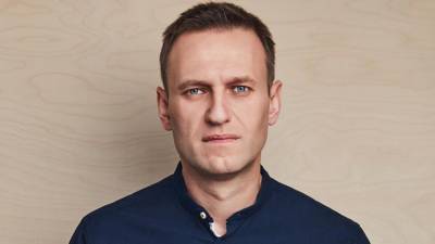 Навальный - Заявления блогера Навального о больной ноге «рассыпались как карточный домик» - politros.com - Владимирская обл.