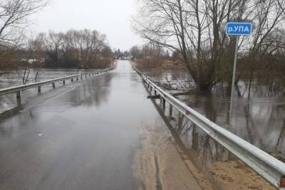 2 апреля затопило мост в населенном пункте Орлово Щекинского района - tula.mk.ru - Тульская обл. - район Щекинский