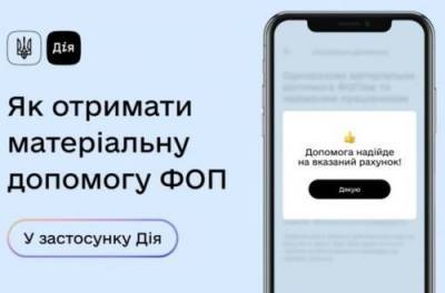 Владимир Зеленский - ФОПам выплатят по 8 тысяч: кому можно надеяться на помощь государства - from-ua.com