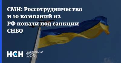 Владимир Зеленский - СМИ: Россотрудничество и 10 компаний из РФ попали под санкции СНБО - nsn.fm - Украина