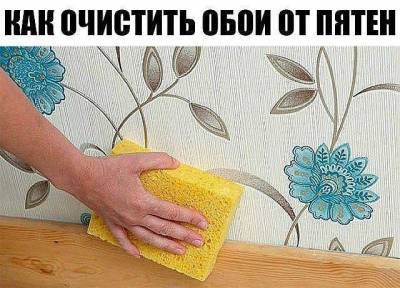​6 невероятно простых способов очистить обои от пятен - skuke.net