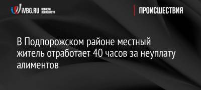 В Подпорожском районе местный житель отработает 40 часов за неуплату алиментов - ivbg.ru - Ленинградская обл. - район Подпорожский