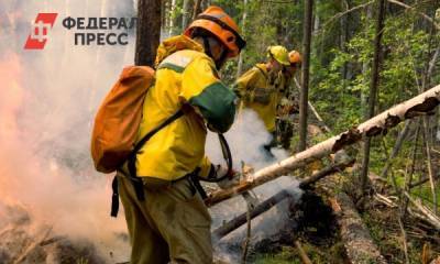 Дмитрий Курдесов - В России предложили новый срок наказания за смерть спасателей - fedpress.ru - Москва