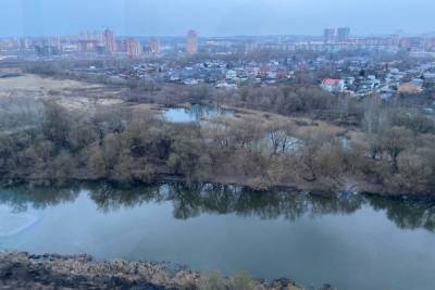Жителей Тульской области предупреждают о порывистом ветре 20 апреля - tula.mk.ru - Тула - Тульская обл.