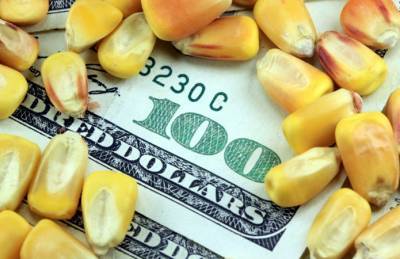 Две трети купленной Китаем кукурузы — из Украины - agroportal.ua - Китай