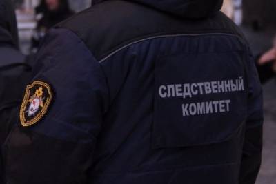 Доследственная проверка началась из-за гибели 9-летнего мальчика в Сретенске - chita.ru - Сретенск