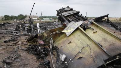 Аглая Чайковская - Хендрик Стинхейс - Вашингтон не ответил на требование Гааги предоставить снимки по делу MH17 - politros.com - США - Вашингтон - Голландия - Гаага