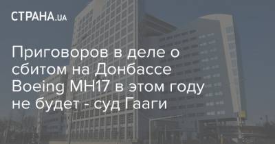 Приговоров в деле о сбитом на Донбассе Boeing МН17 в этом году не будет - суд Гааги - strana.ua - Голландия - Гаага - Донбасс