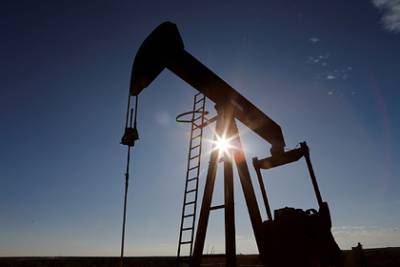 Доля нефтегазовых доходов бюджета установила рекорд - lenta.ru