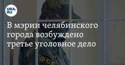 Александр Виноградов - В мэрии челябинского города возбуждено третье уголовное дело. Работает ФСБ - ura.news - Челябинская обл.