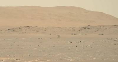 NASA опубликовало видео первого полета вертолета Ingenuity на Марсе (видео) - focus.ua