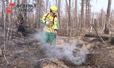Лесные пожары угрожают перекинуться на села одного из районов Омской области - fedpress.ru - Омск - Омская обл.