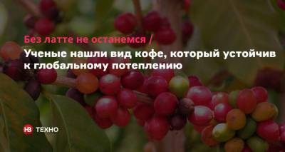 Без латте не останемся. Ученые нашли вид кофе, который устойчив к глобальному потеплению - nv.ua - Англия