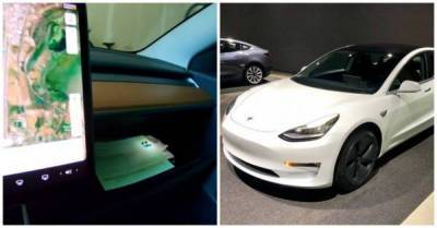 Илон Маск - Владельцы Tesla обнаружили в автомобилях нецензурные голосовые команды - skuke.net - Интересно
