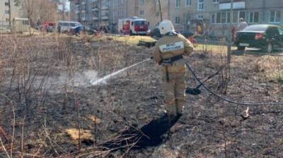 Зареченец хотел научить детей сжигать траву и устроил пожар - penzainform.ru