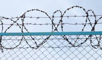 Тоболяка осудили на 4 с половиной года за покупку 2 кг гашиша - nashgorod.ru - Тобольск
