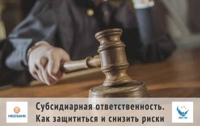 Субсидиарная ответственность. Как защититься и снизить риски - vgoroden.ru