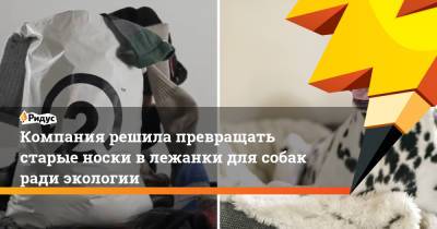 Компания решила превращать старые носки в лежанки для собак ради экологии - ridus.ru - Экология