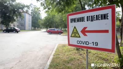 Заболеваемость коронавирусом в России снижается: выявлено 8 164 инфицированных - newdaynews.ru - Москва - Санкт-Петербург - респ. Алтай - респ.Тыва - Чукотка - окр.Ненецкий