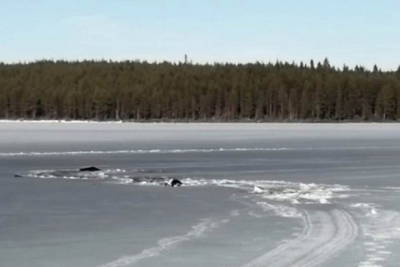 Установлена личность провалившегося под лед мужчины под Кандалакшей - murmansk.mk.ru - Мурманская обл.