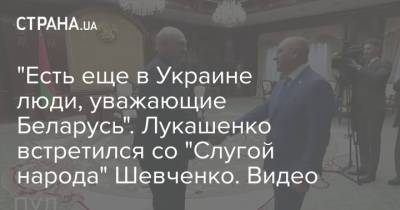 Александр Лукашенко - Евгений Шевченко - "Есть еще в Украине люди, уважающие Беларусь". Лукашенко встретился со "Слугой народа" Шевченко. Видео - strana.ua - Минск