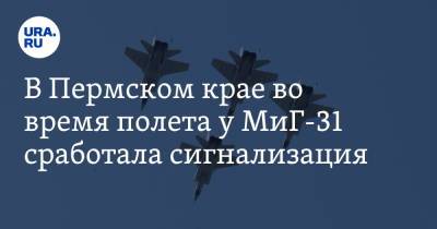 В Пермском крае во время полета у МиГ-31 сработала сигнализация - ura.news - Пермский край