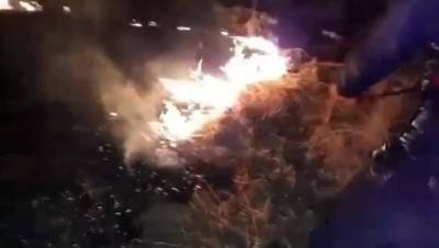 Под Тверью тушили горящую траву на поле у городского кладбища - afanasy.biz - Тверь - район Калининский