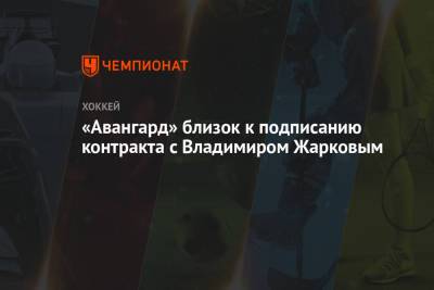 Владимир Жарков - «Авангард» близок к подписанию контракта с Владимиром Жарковым - championat.com - Ярославль