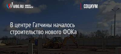 В центре Гатчины началось строительство нового ФОКа - ivbg.ru - Каменногорск