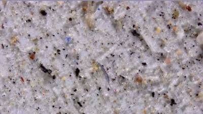 Интересный факт дня: В атмосфере циркулируют тысячи тонн микропластика - news.bigmir.net