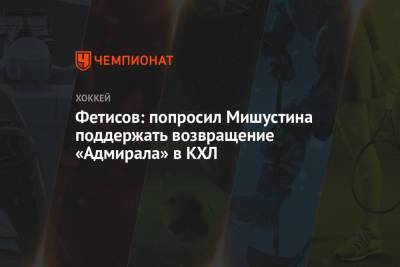 Михаил Мишустин - Вячеслав Фетисов - Фетисов: попросил Мишустина поддержать возвращение «Адмирала» в КХЛ - championat.com