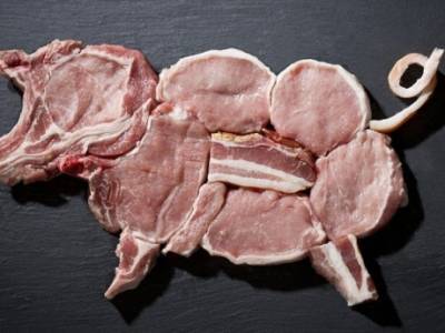 Украина увеличила импорт свинины. Аналитики пояснили «аномалии» на рынке - enovosty.com