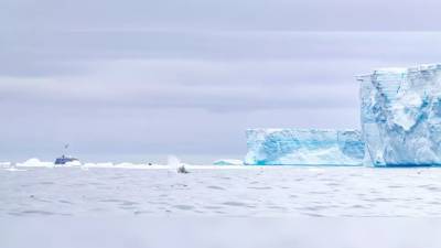 Самый большой антарктический айсберг растаял - news.bigmir.net - Антарктида