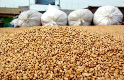 Запасы зерна в Украине почти на 6% ниже прошлогодних - agroportal.ua