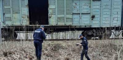 На Черниговщине подросток сделал смертельное селфи на крыше поезда - lenta.ua - Киев - Черниговская обл.