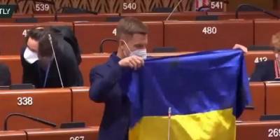 Алексей Гончаренко - Алексей Гончаренко принес в ПАСЕ флаг Украины с Донбасса - скандал с нардепом растиражировали в РФ - ТЕЛЕГРАФ - telegraf.com.ua - с. Донбасс