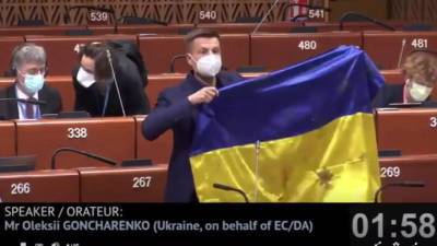 Алексей Гончаренко - Украинскому депутату отключили микрофон в ПАСЕ под аплодисменты - vesti.ru