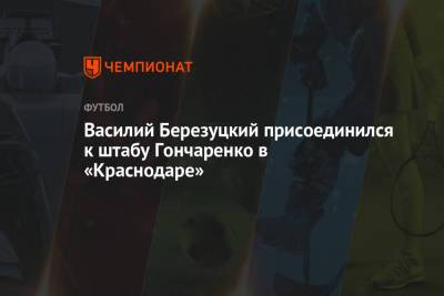 Василий Березуцкий - Виктор Гончаренко - Ивица Олич - Василий Березуцкий присоединился к штабу Гончаренко в «Краснодаре» - championat.com - Краснодар